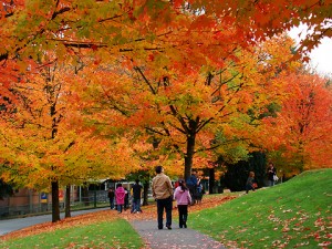 Giới thiệu về thành phố xinh đẹp Burnaby - Canada
